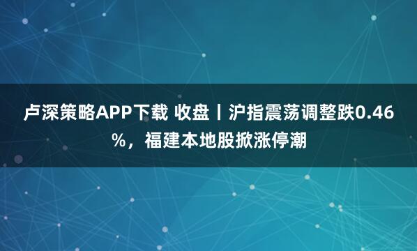 卢深策略APP下载 收盘丨沪指震荡调整跌0.46%，福建本地股掀涨停潮