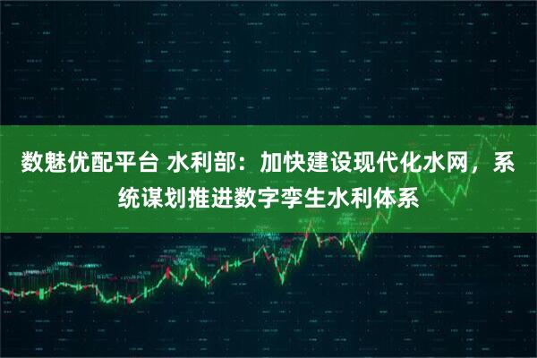 数魅优配平台 水利部：加快建设现代化水网，系统谋划推进数字孪生水利体系