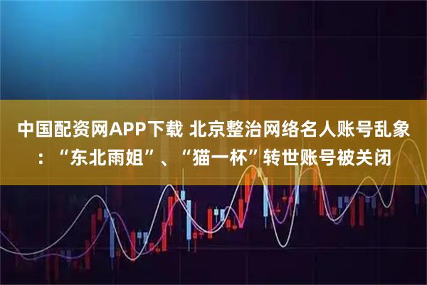 中国配资网APP下载 北京整治网络名人账号乱象：“东北雨姐”、“猫一杯”转世账号被关闭